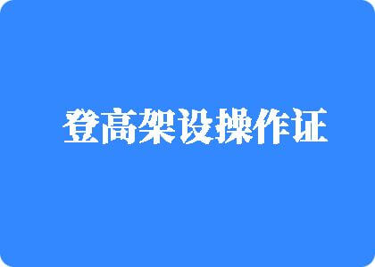 草日男女草逼登高架设操作证